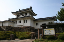 IMG_5861.JPG