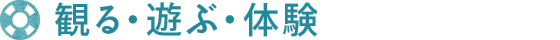 観る・遊ぶ・体験